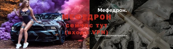 индика Аркадак