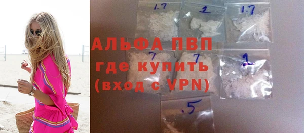 индика Аркадак