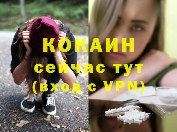 шишки Дмитриев