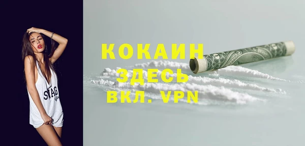 индика Аркадак