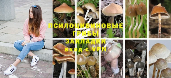 ешки Армянск