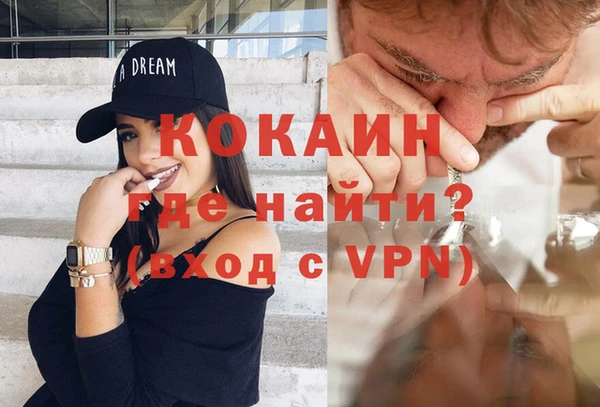 индика Аркадак