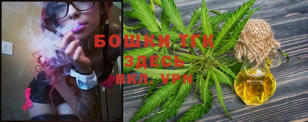 индика Аркадак