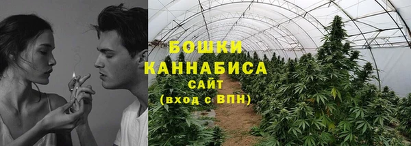 индика Аркадак