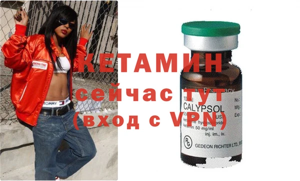 индика Аркадак