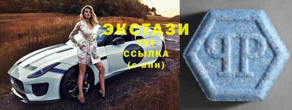 индика Аркадак