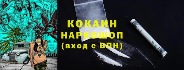 индика Аркадак