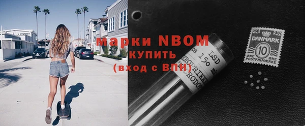 индика Аркадак